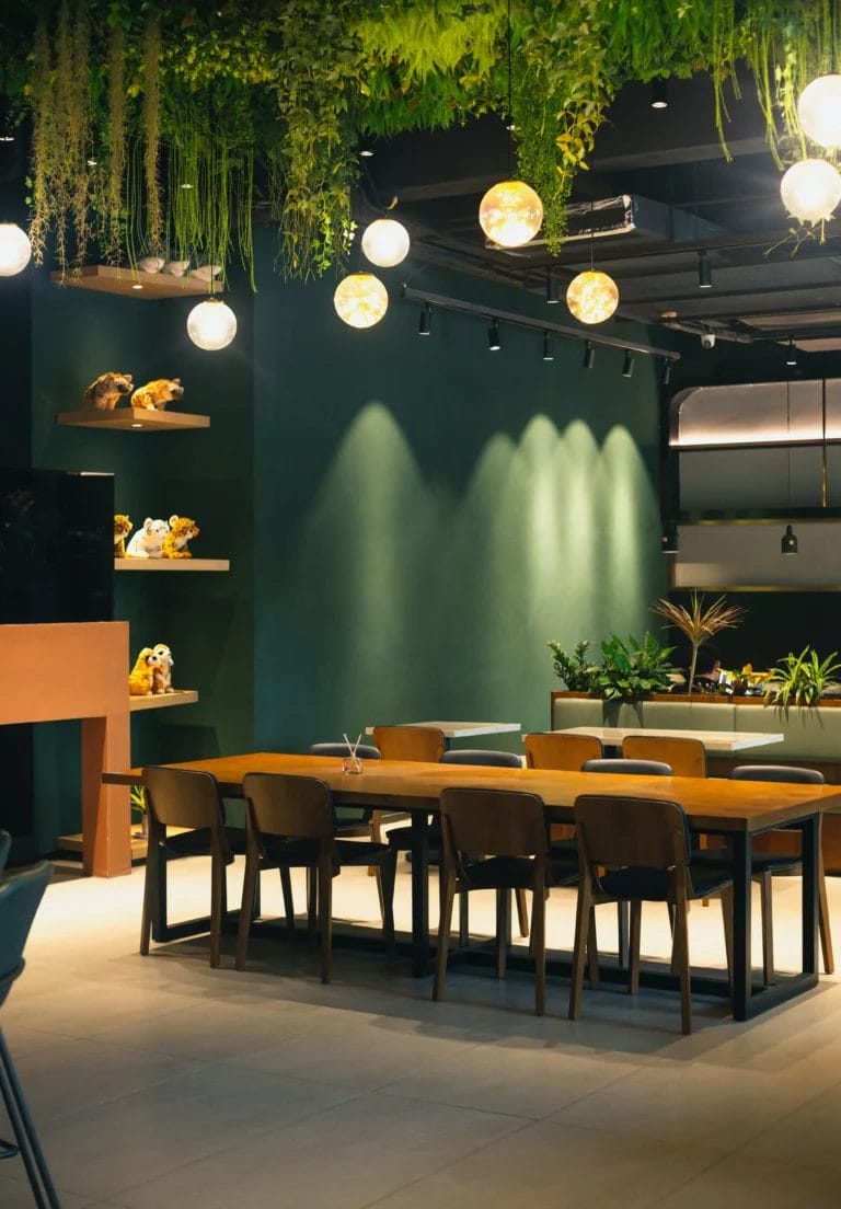 pexels-鲨柿笔亚-12610912